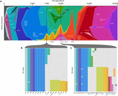 E. Coli Muller Plot