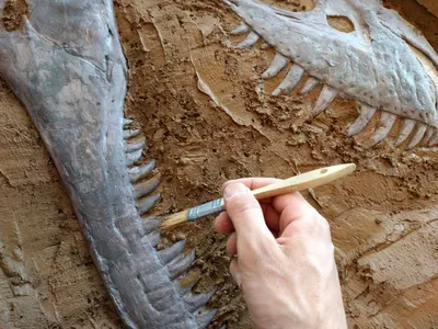 Dino Re-do