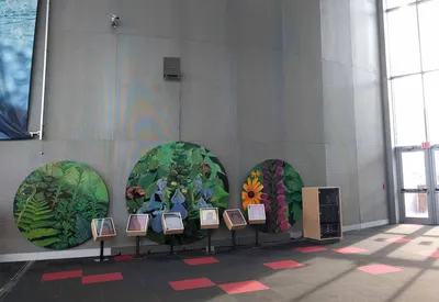 Laugh Garden