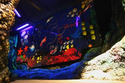 Underwater Touch Wall